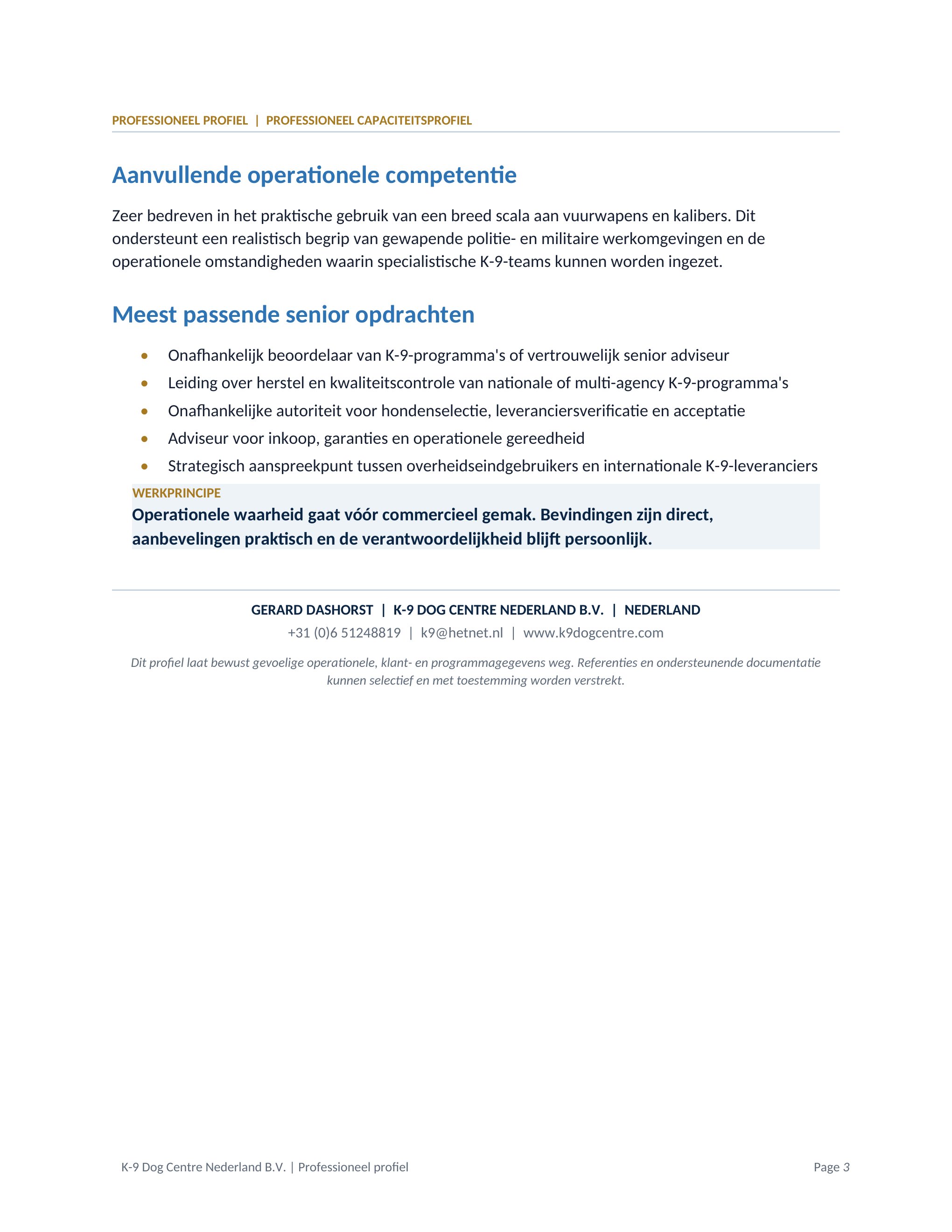 Professioneel profiel, pagina 3 van 3