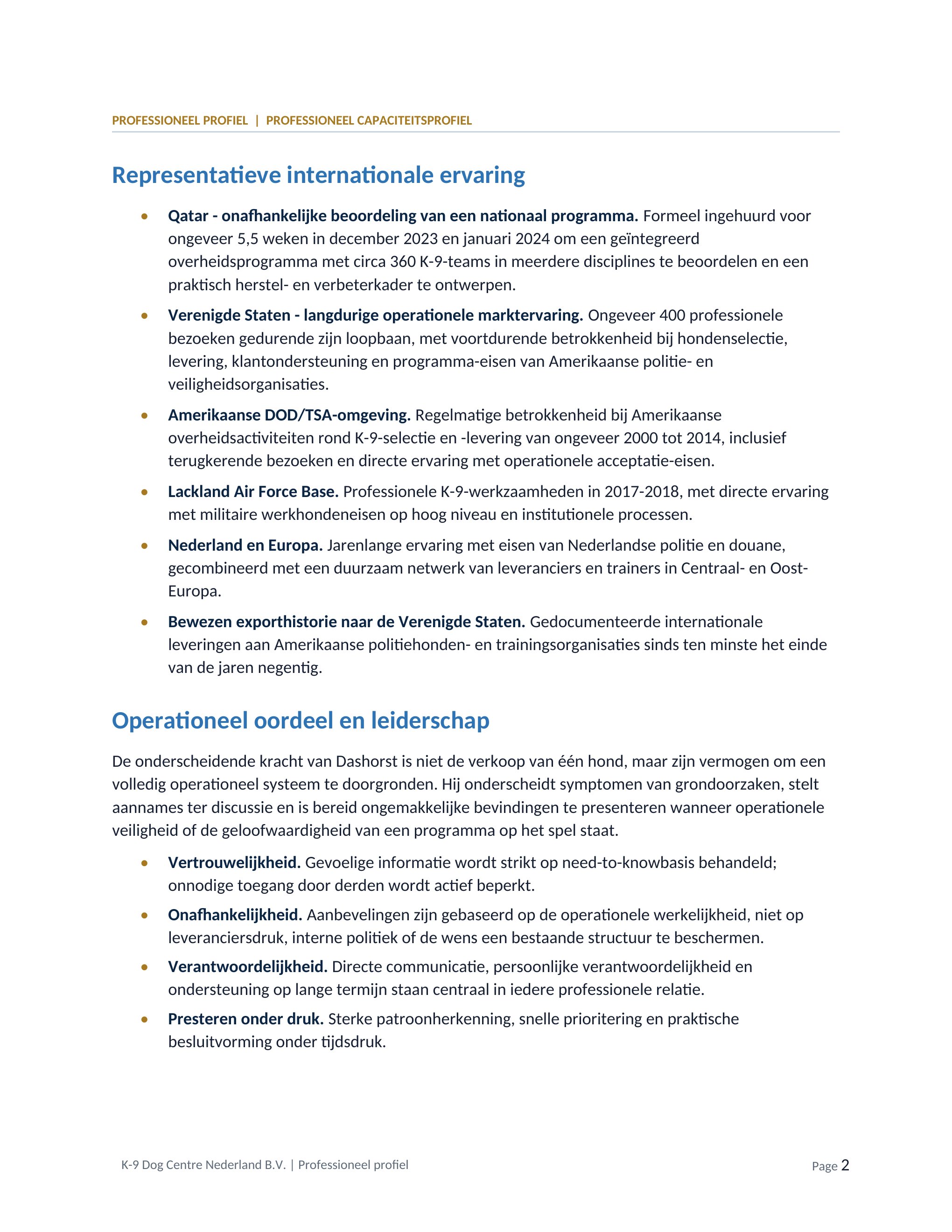 Professioneel profiel, pagina 2 van 3